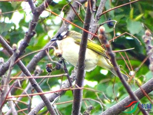DSC00772.JPG