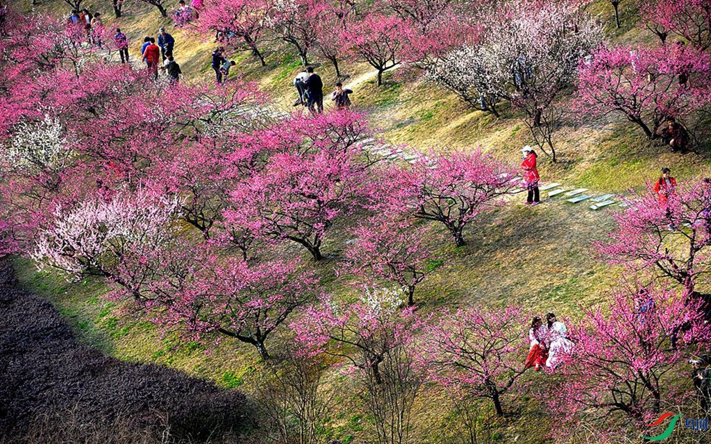 763 (8)_����.jpg