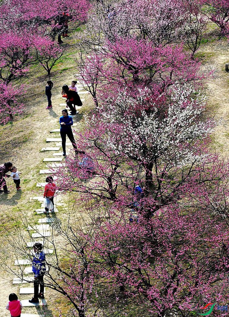 763 (10)_����.jpg