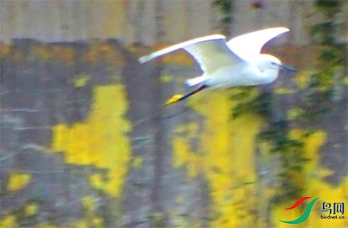 DSC00822.JPG