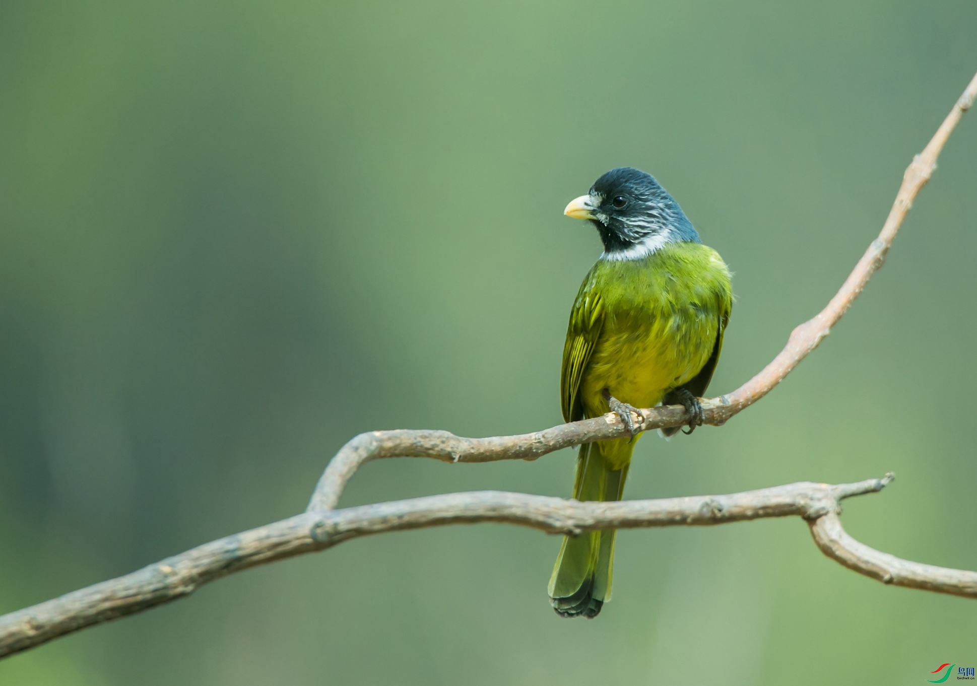 ��ȸ����