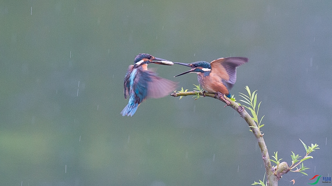 XCG_9857 - ����.jpg