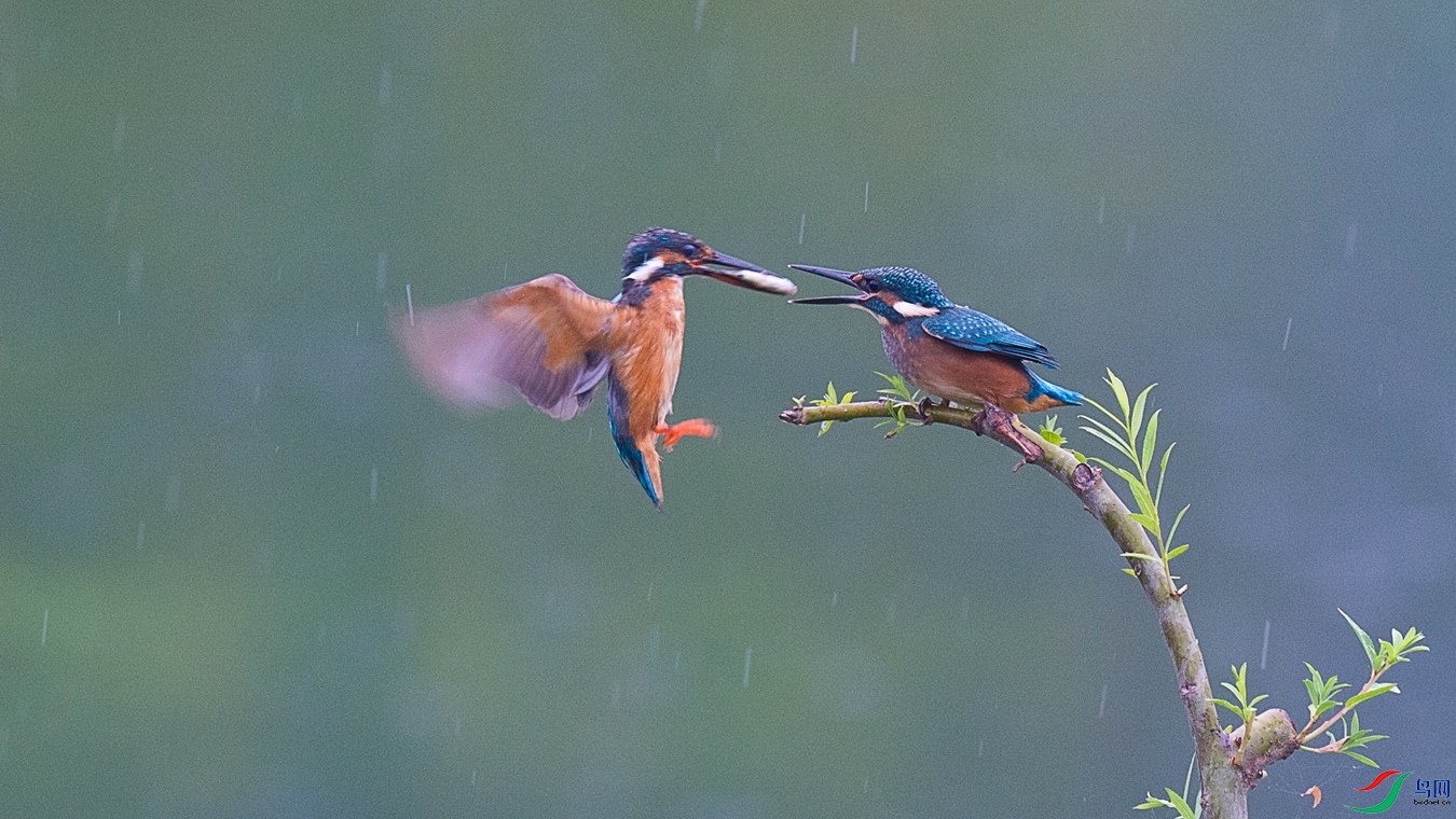 XCG_9858 - ����.jpg