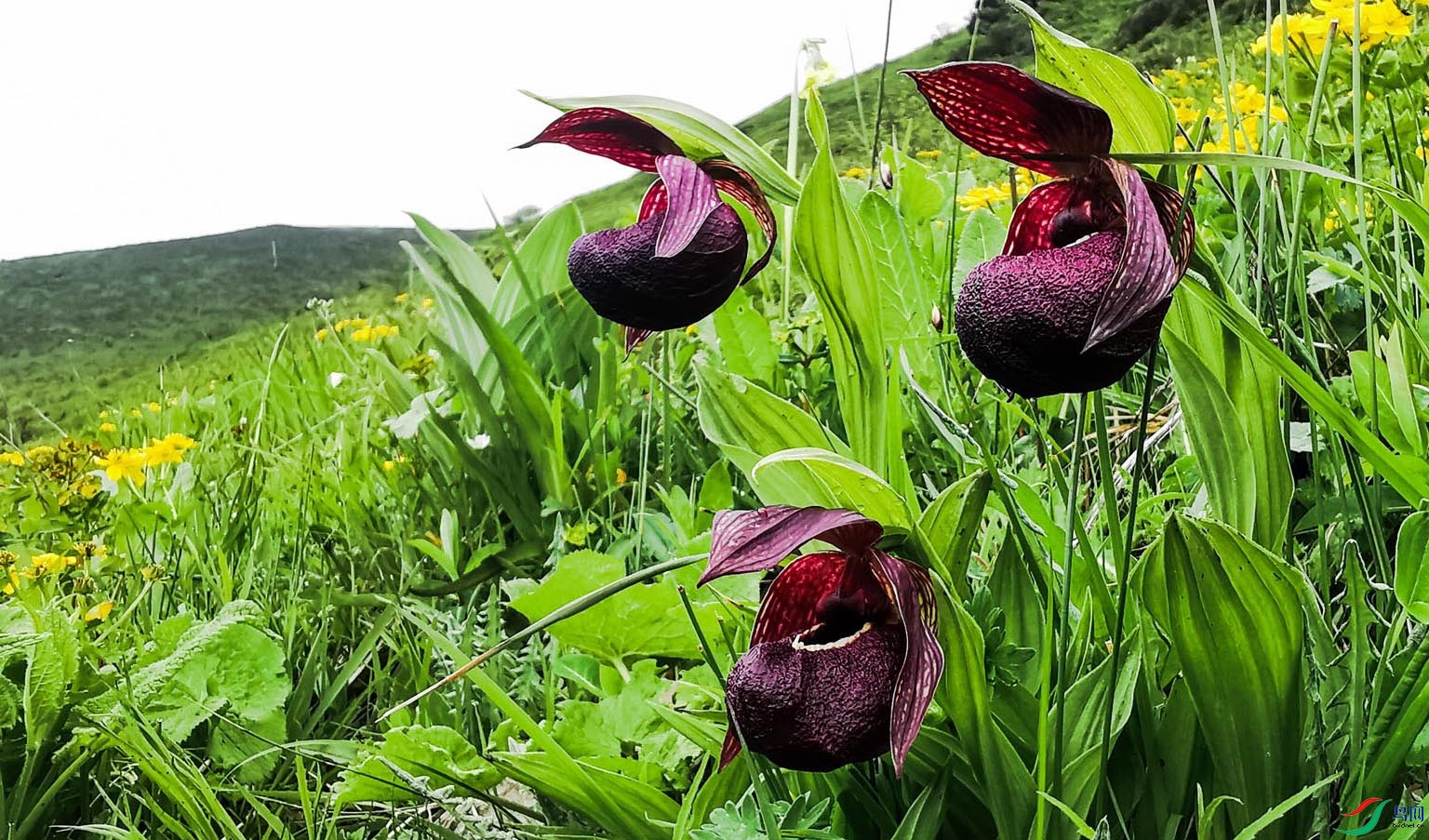 �������