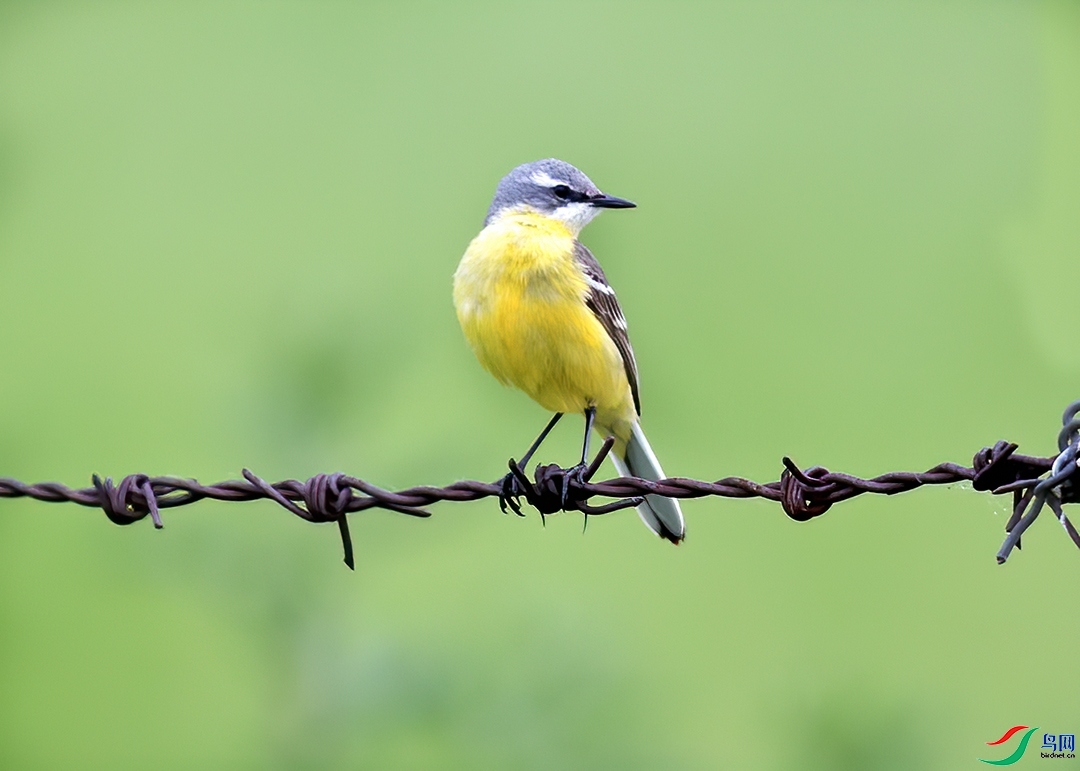 ��������  ��ʦ�������½�**�������� ****�� ****��.jpg