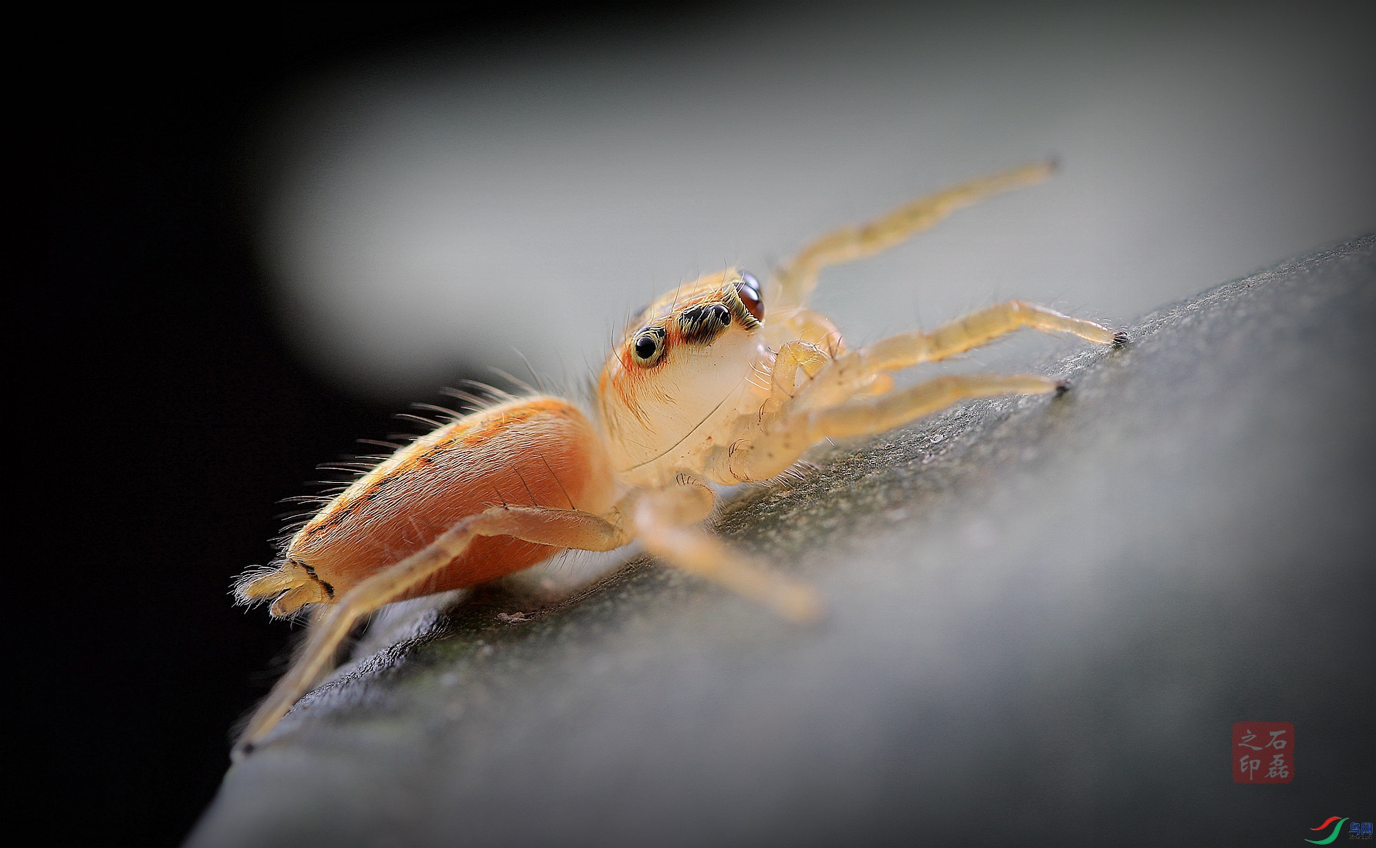 ���ۿ���