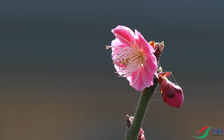 DSC_0056.JPG