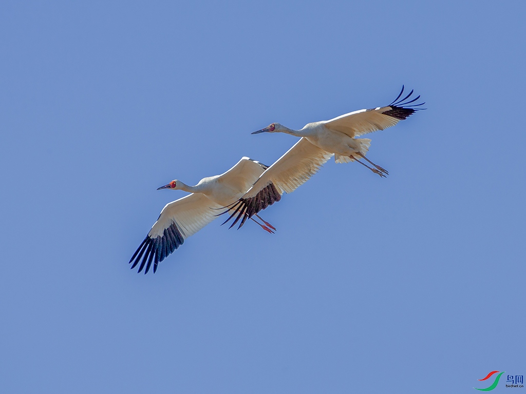 2015-7.jpg