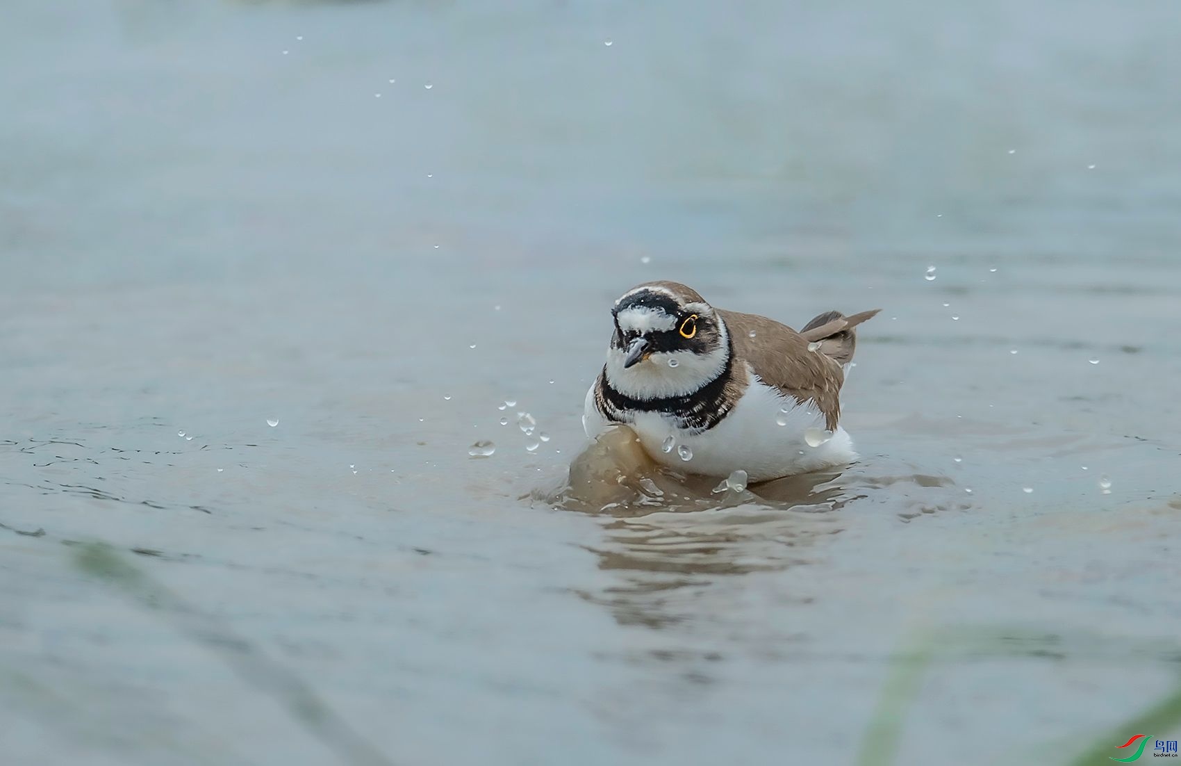 DSC_1415.jpg