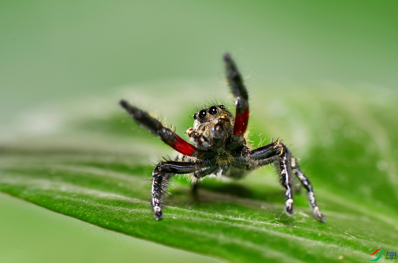 DSC_5593 ��������.jpg