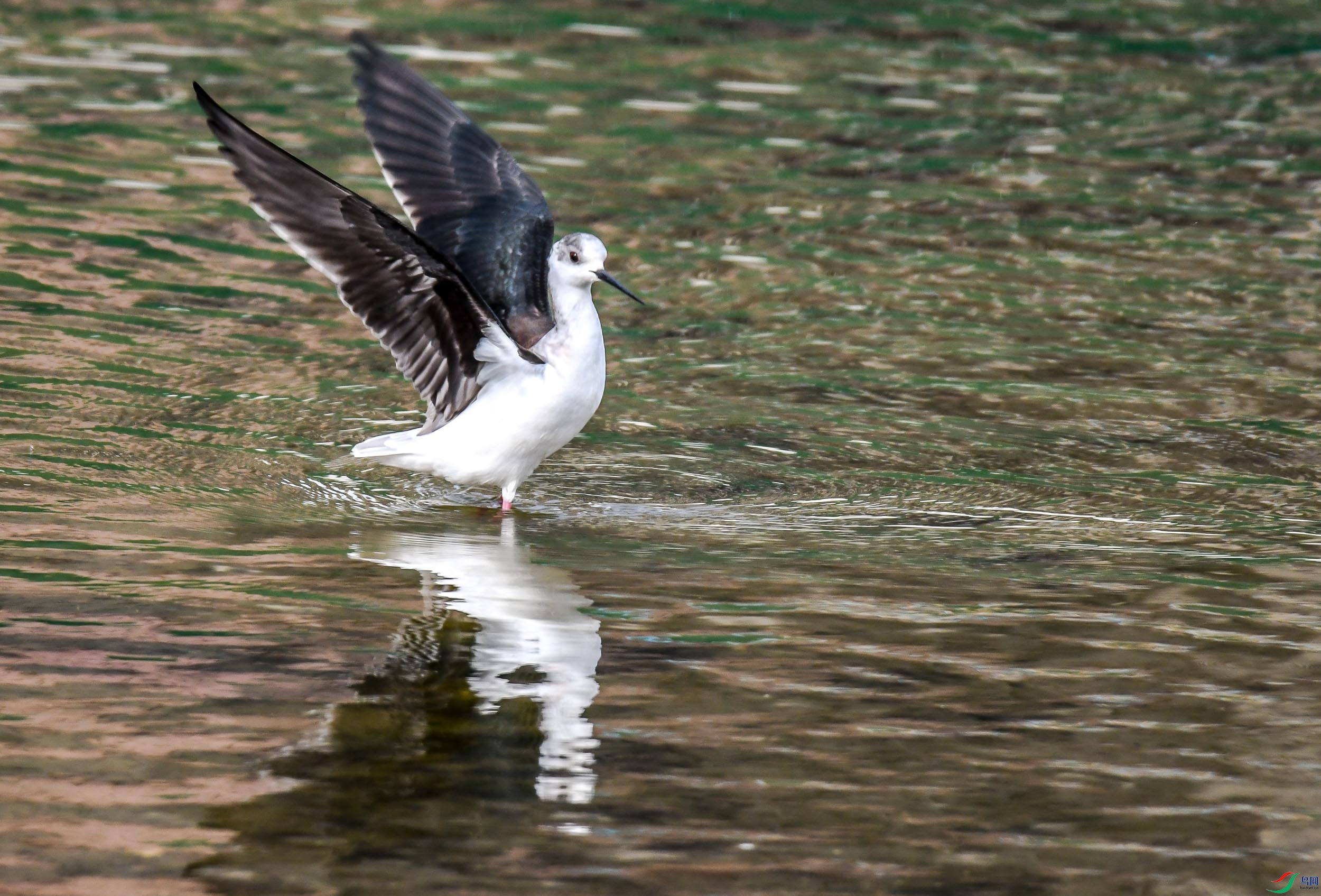 DSC_7789.jpg