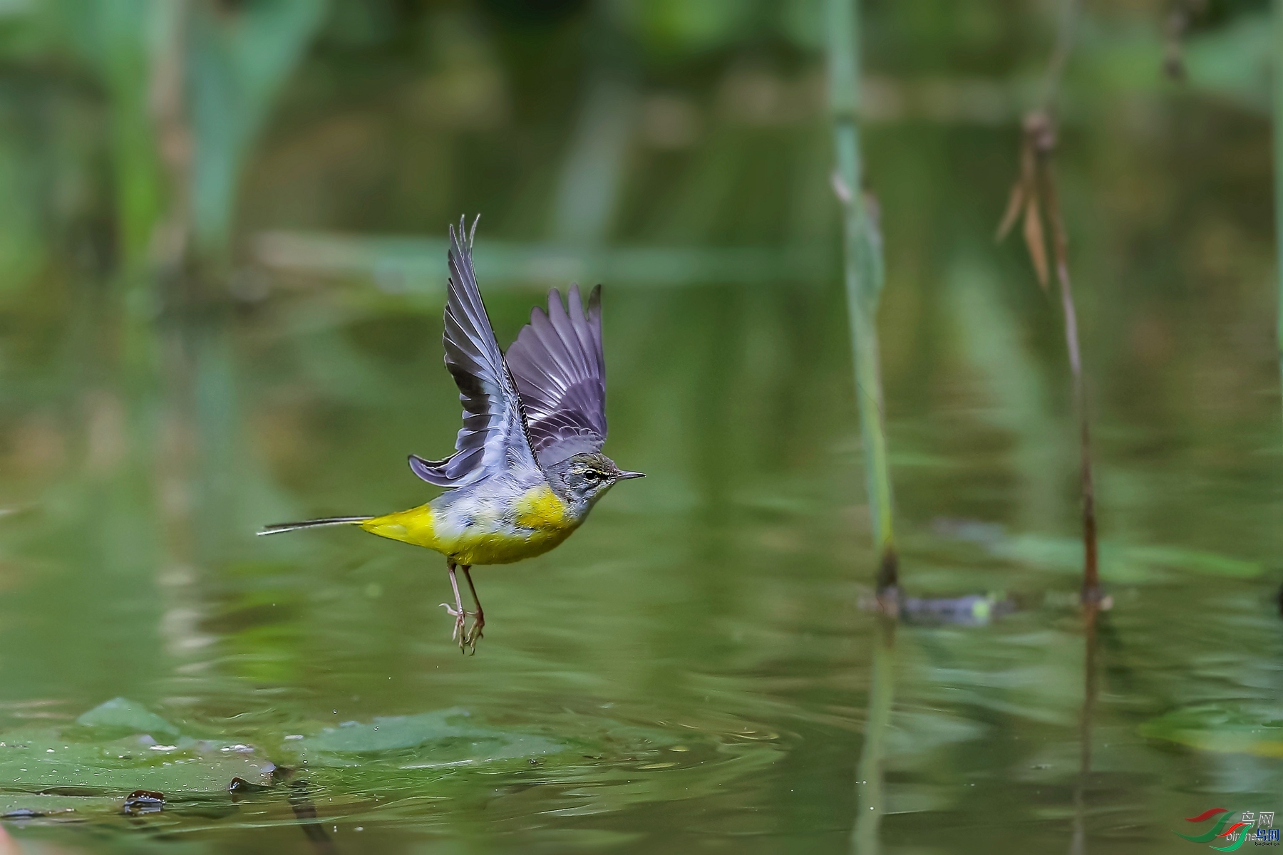 ��Ӱ  ��ʦ����.jpg