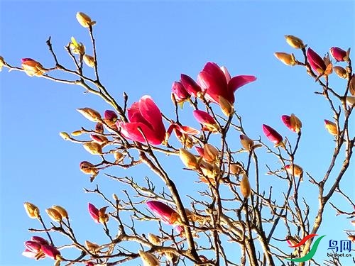 ΢��ͼƬ_20220309092854 - ����.jpg