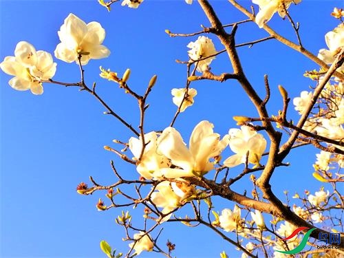΢��ͼƬ_20220309092919 - ����.jpg