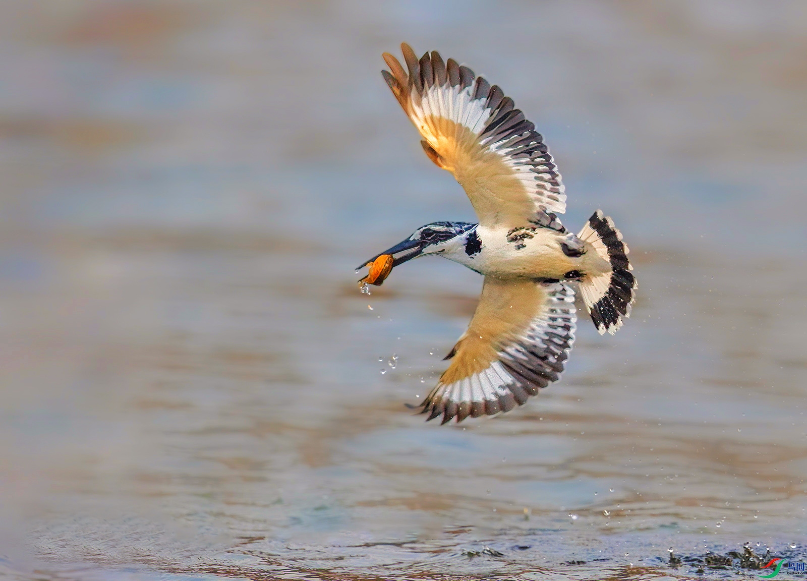 AI8I4885 ���� 3.jpg