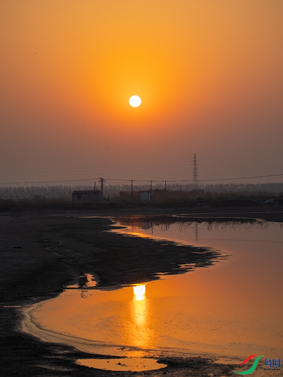 _V0A5042.jpg