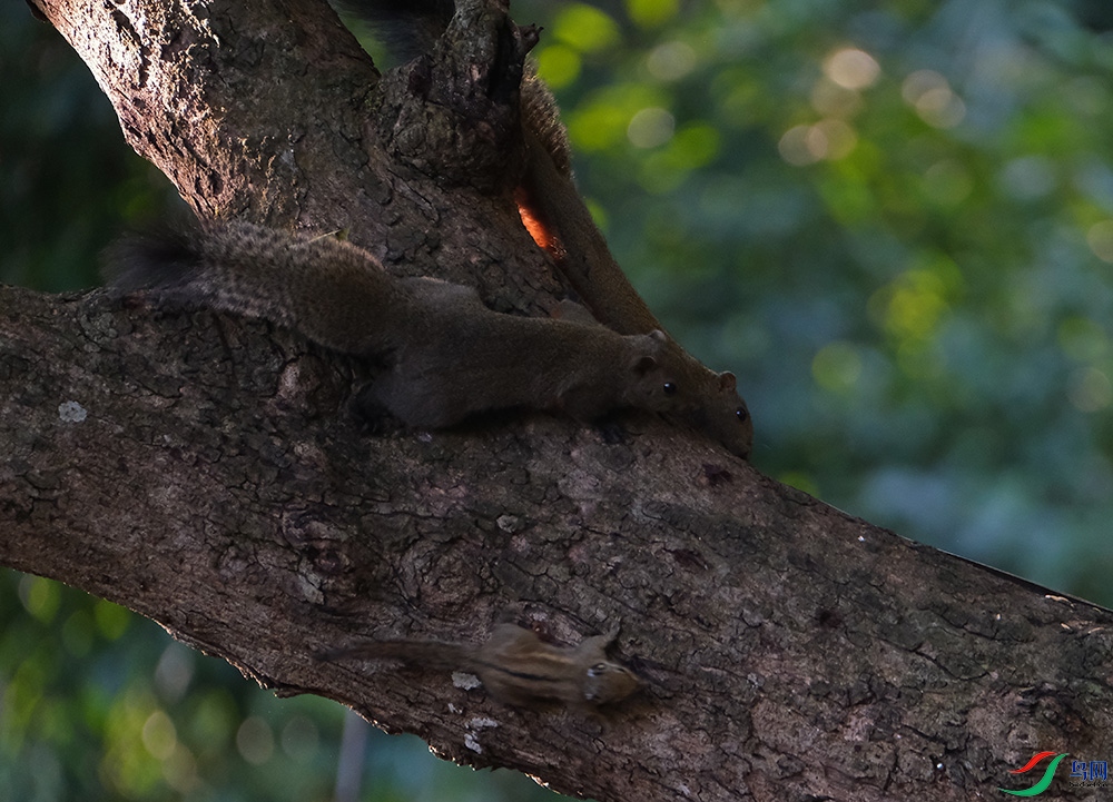 DSCF7345.1.jpg
