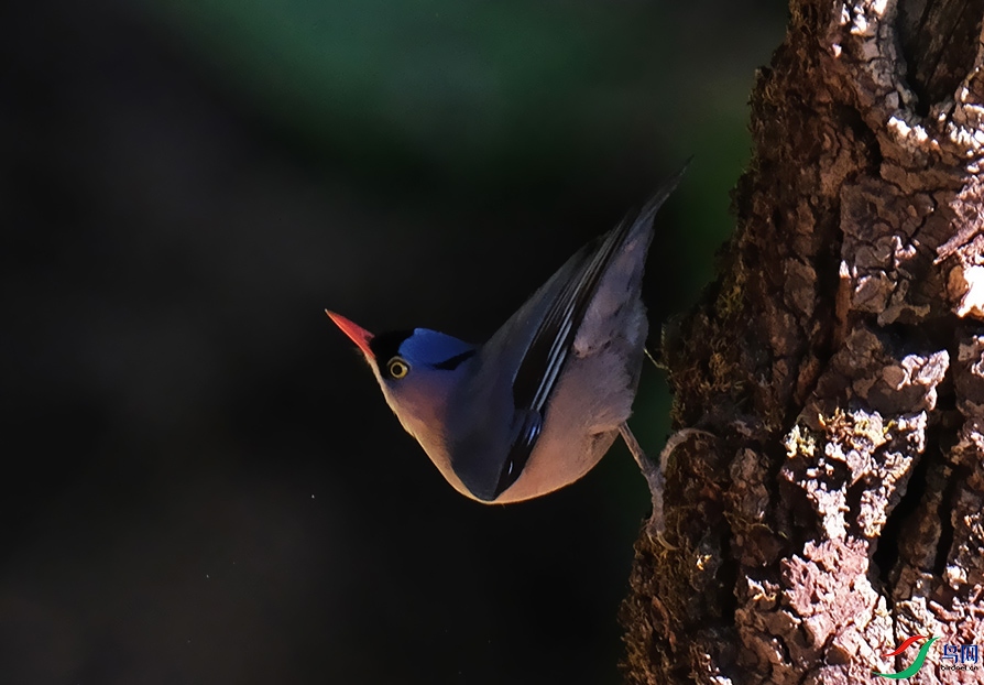 DSCF1799.1.jpg