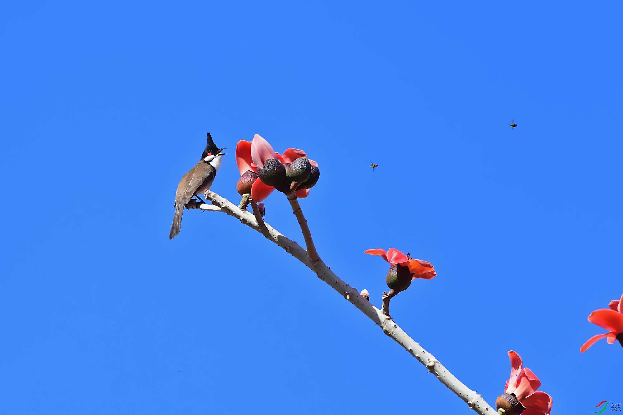 DSC_5173.jpg
