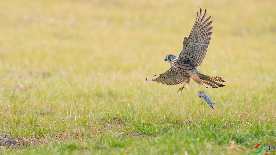 DSC06537-5B.jpg