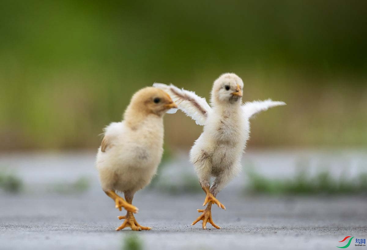 _DSC0906.jpg- - ����.jpg