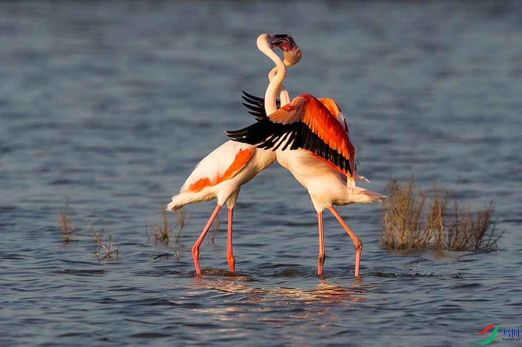 ���˽ڿ���