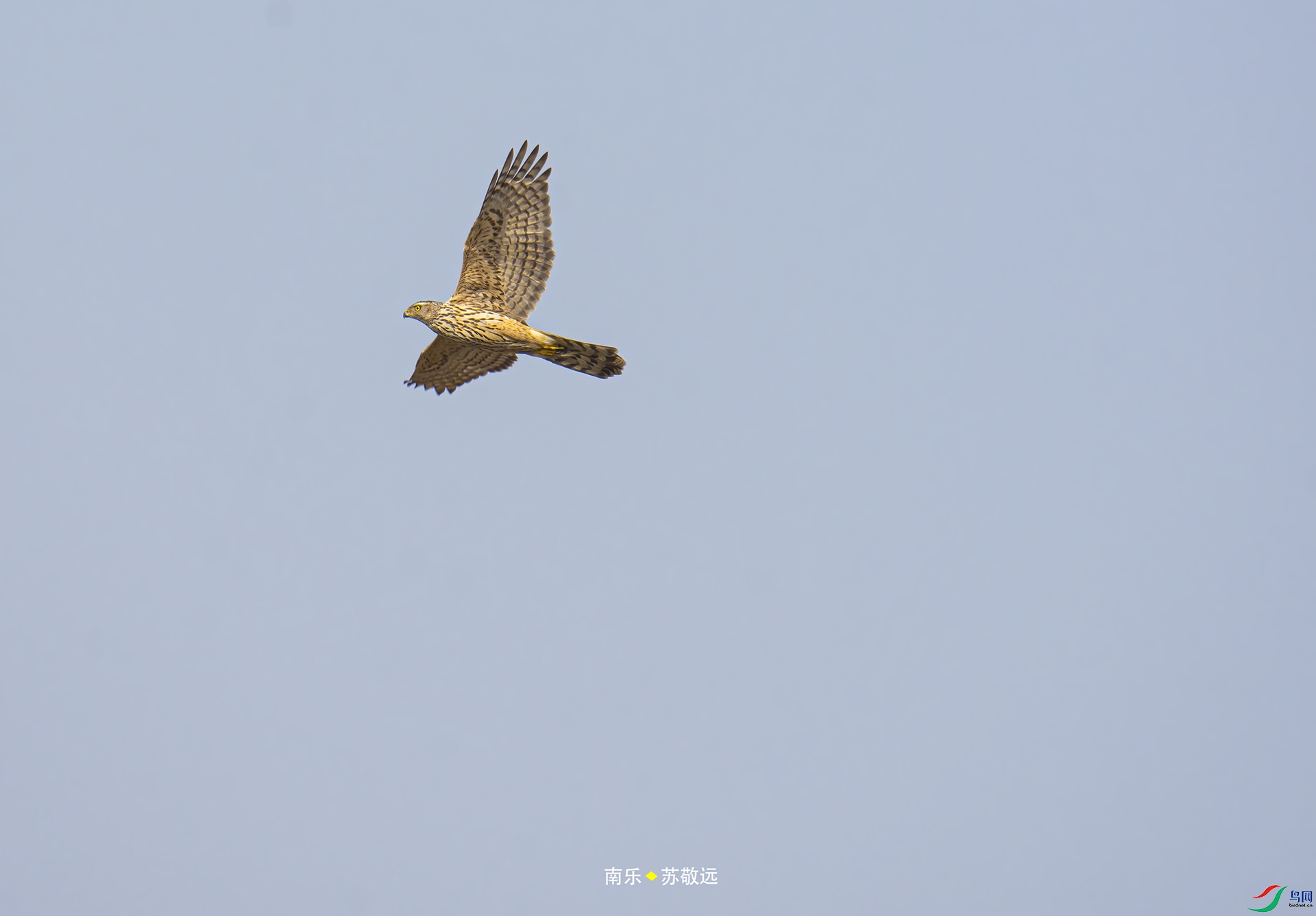 _DSC5320С.jpg