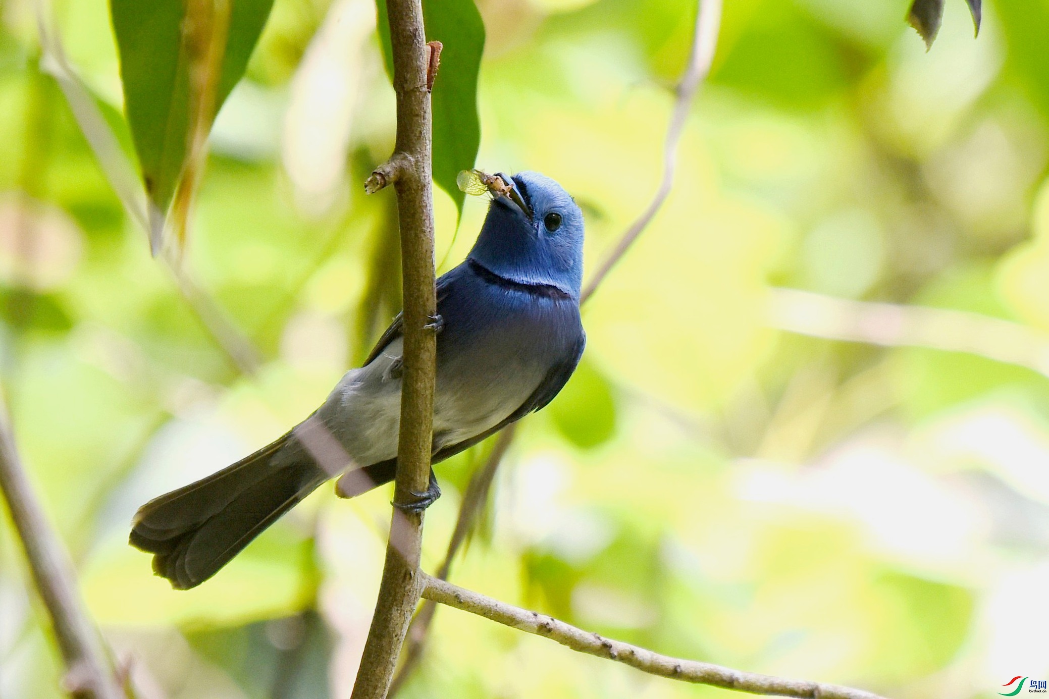 DSC_3568_����.jpg