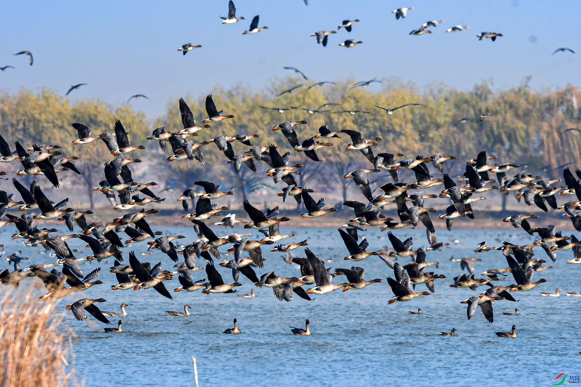 DSC_2702f.jpg