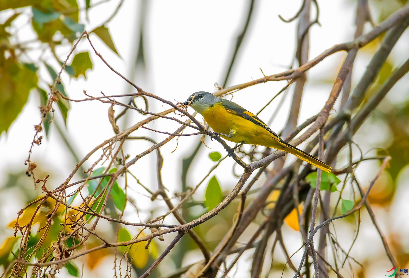 DSC_0841.jpg