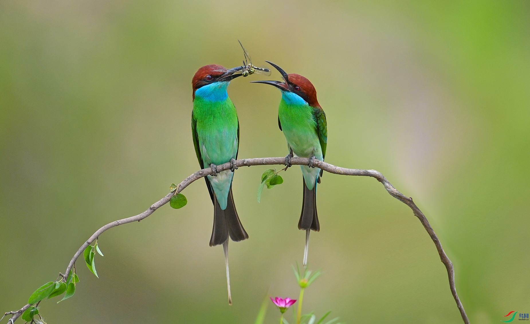 ����DSC_0441.jpg