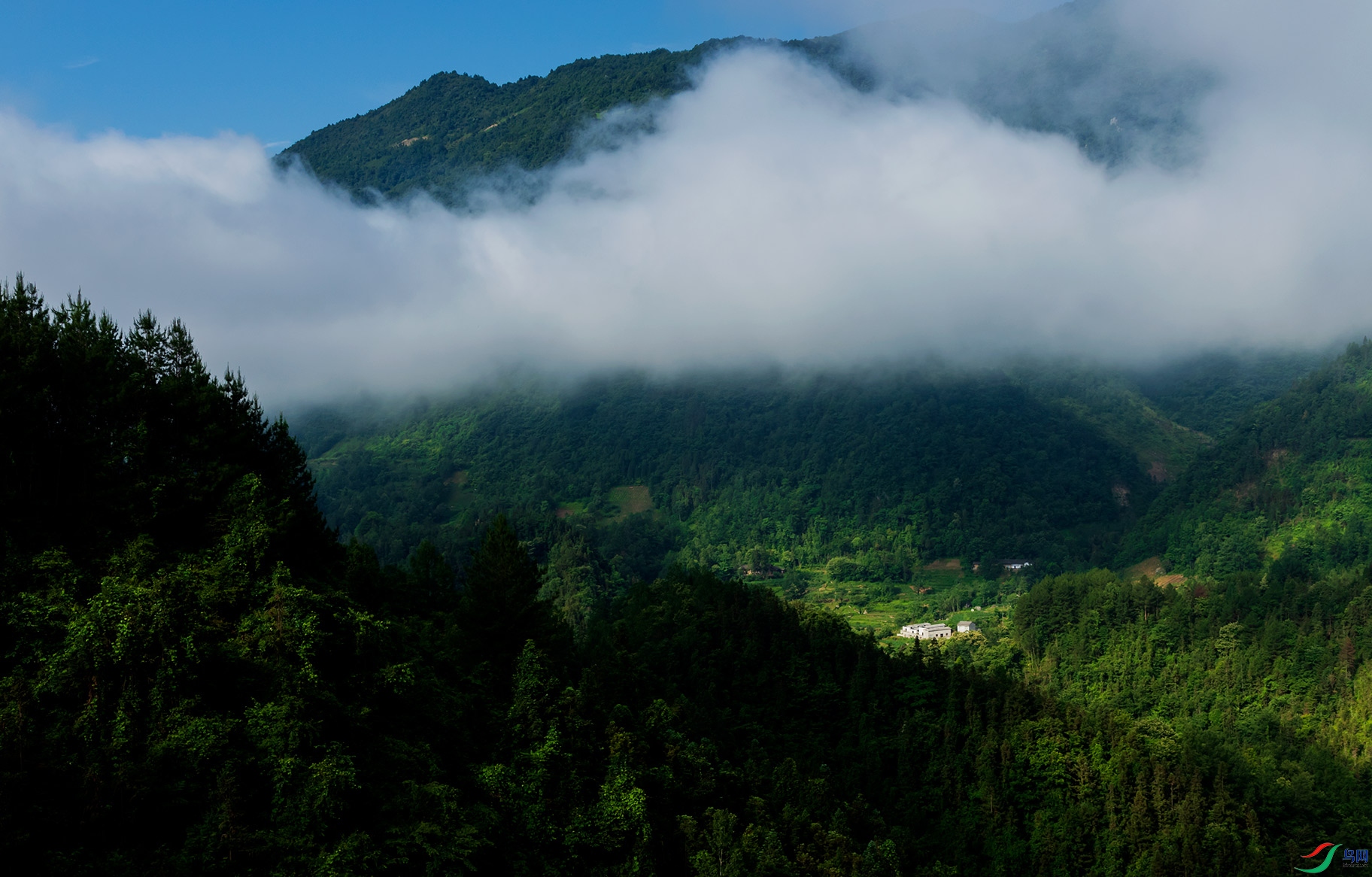 ��ɽ����˼�