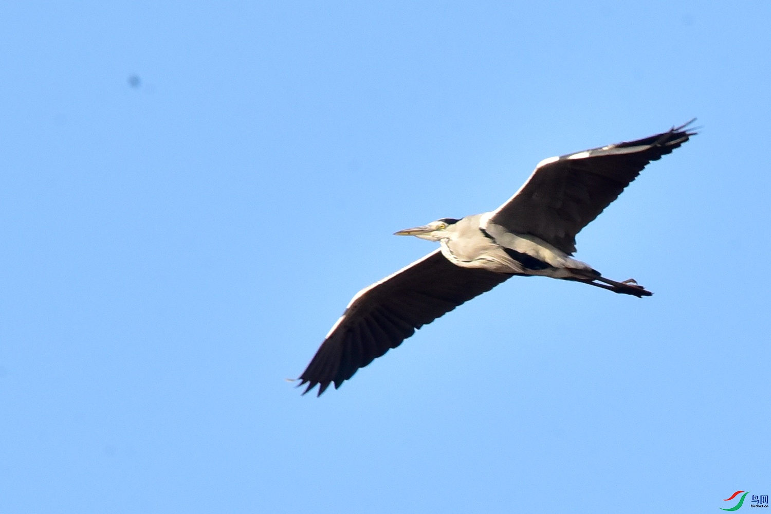 DSC_3743.JPG
