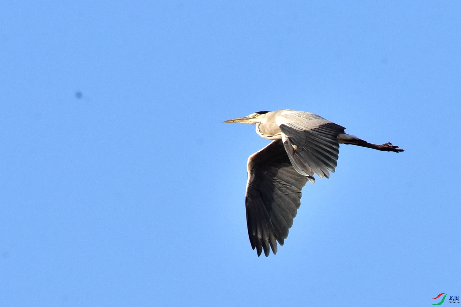 DSC_3747.JPG