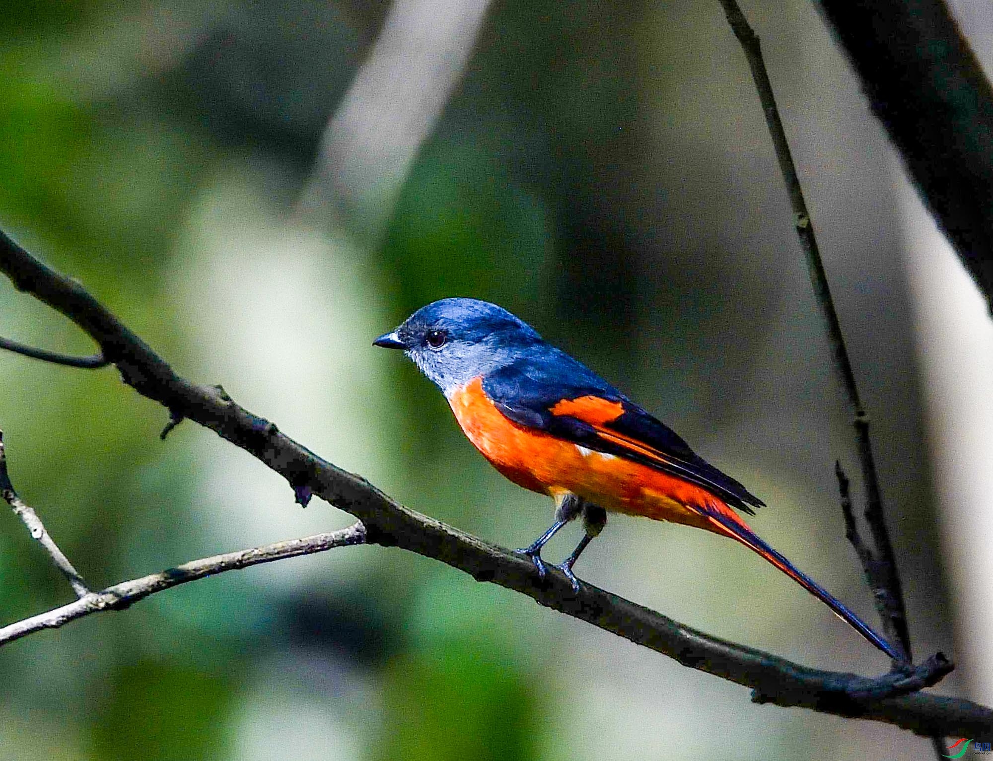 DSC_00011.jpg