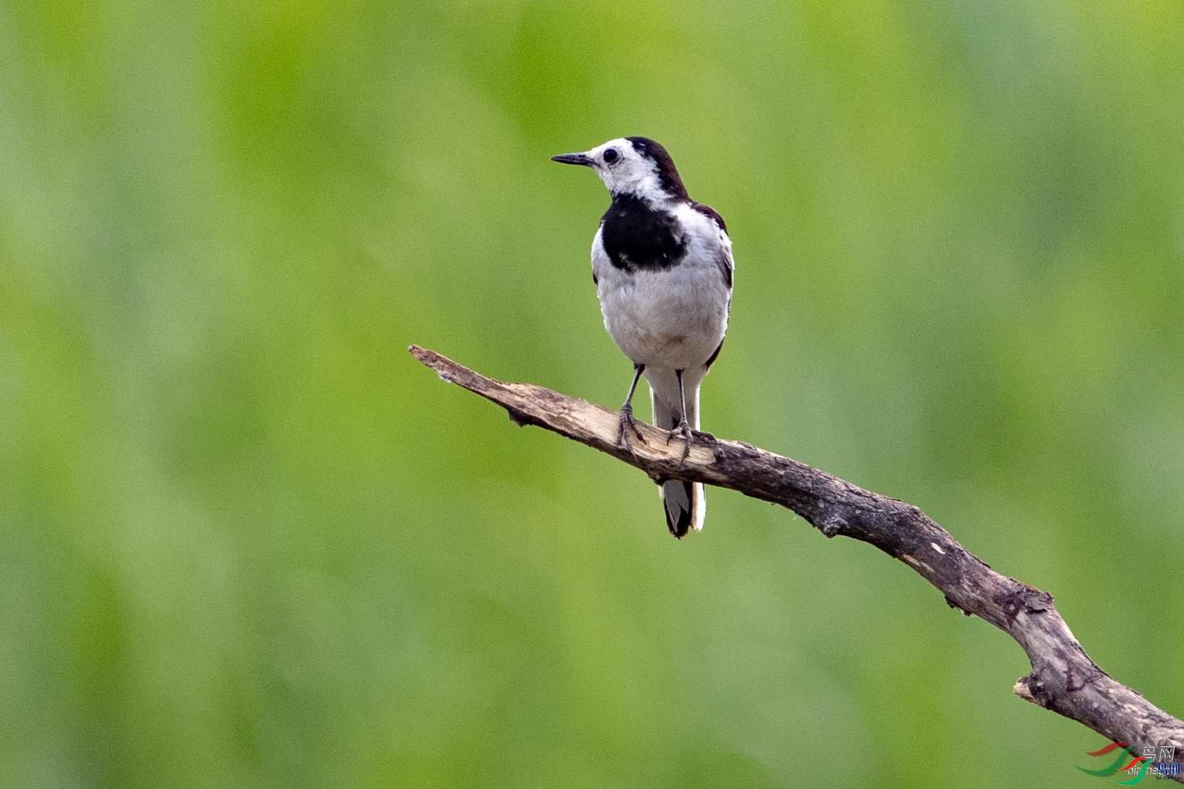 ������  ��ʦ�����ں���ʡ��������ɽ��.jpg