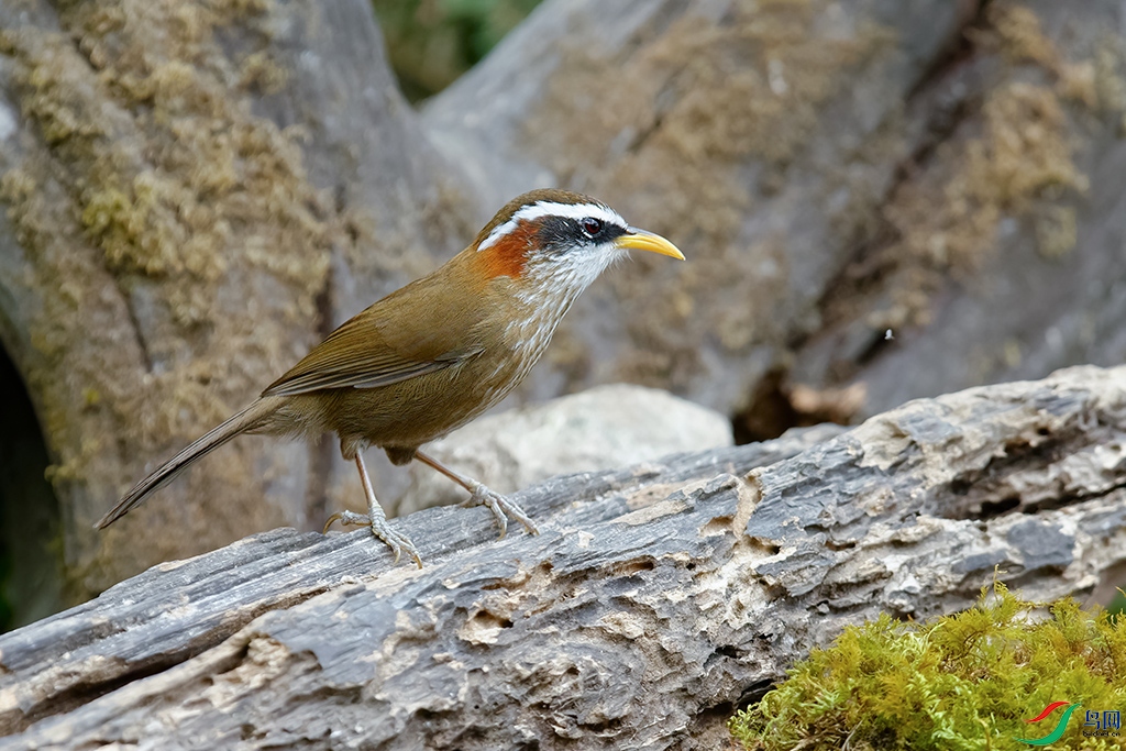 5DSC_6697_DxOa.jpg