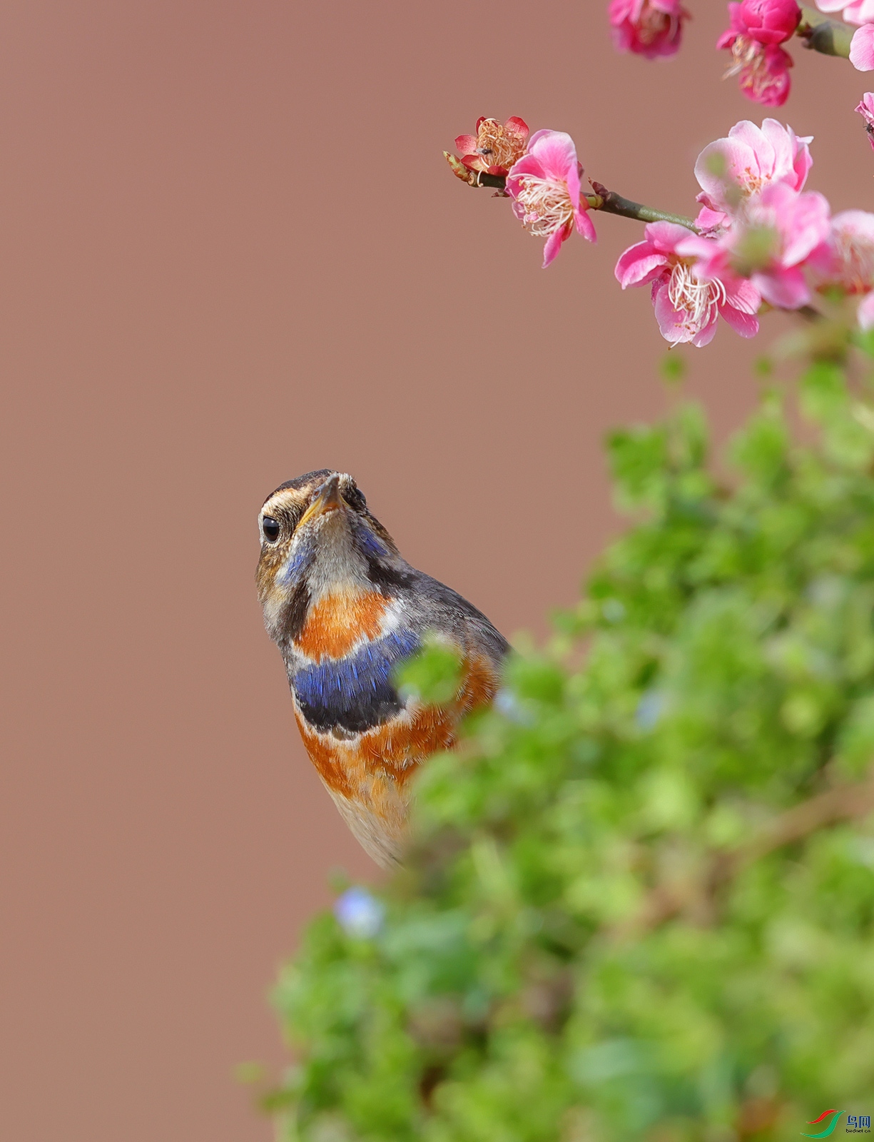 HCP_9281.jpg