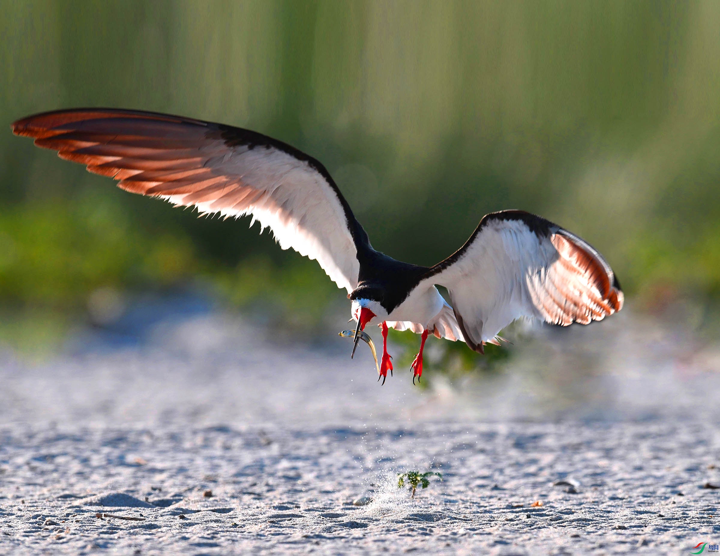 ��Ƭ 282 - ����.jpg