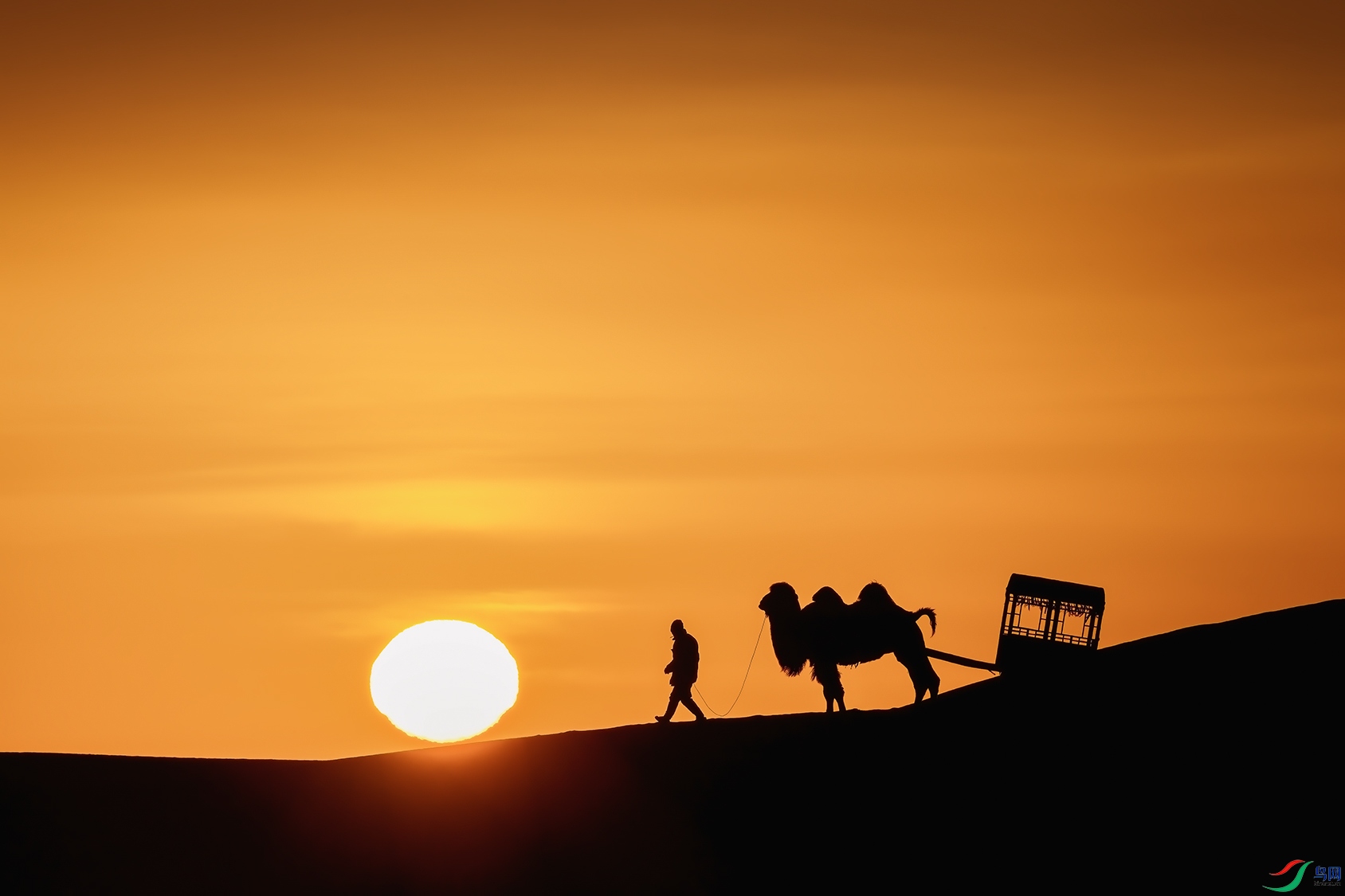 ���������ɹ������졣