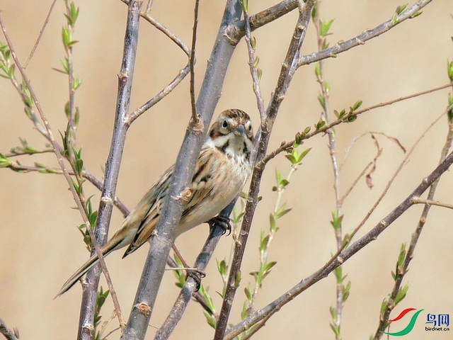 P8030272 - ����.JPG