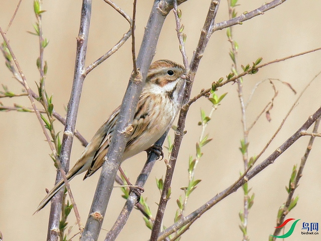 P8030275 - ����.JPG