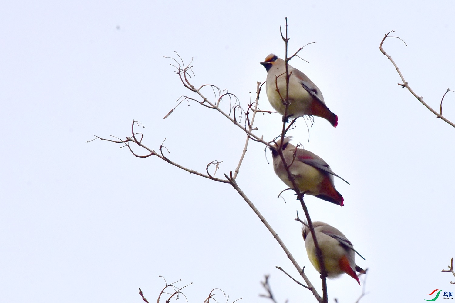 DSC_4407.JPG