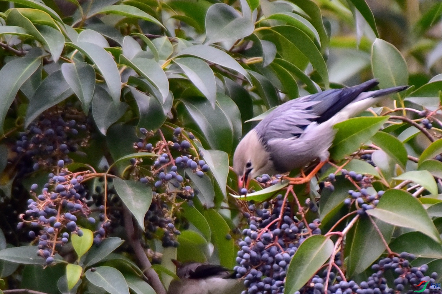 DSC_4968.JPG
