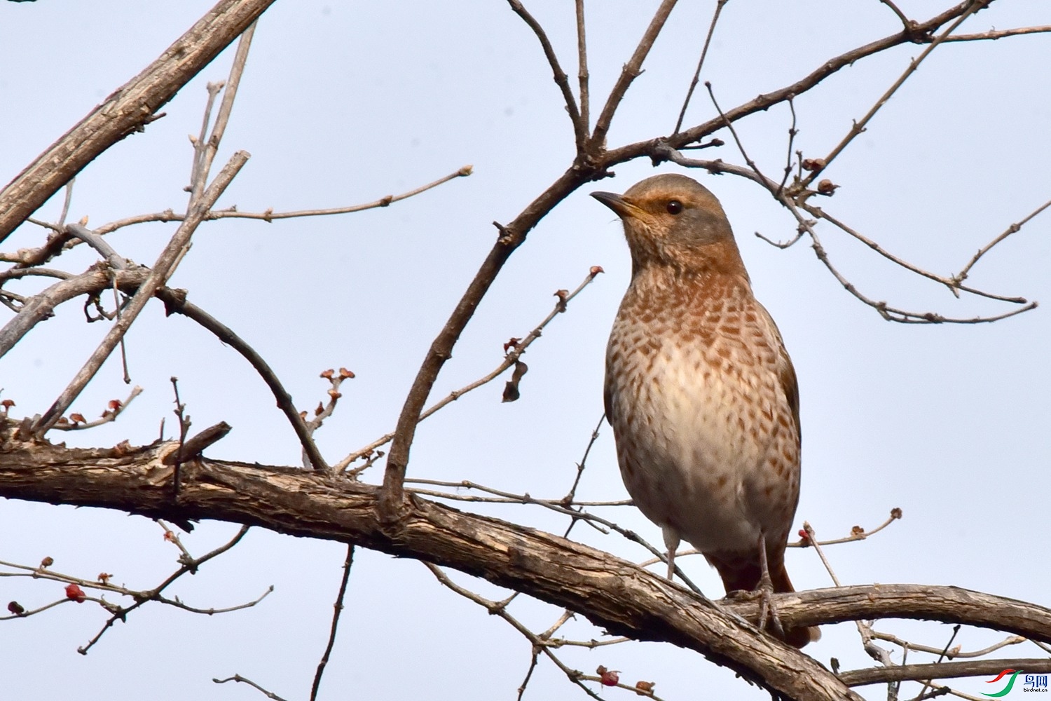 DSC_6392.JPG