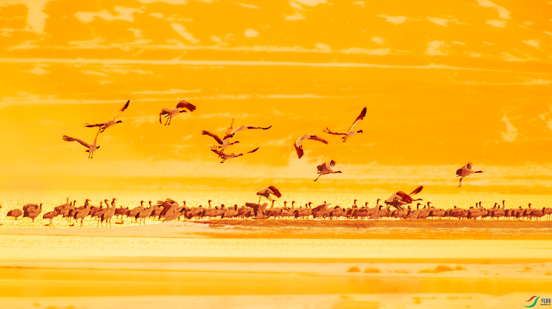 A99I6076-1as.jpg