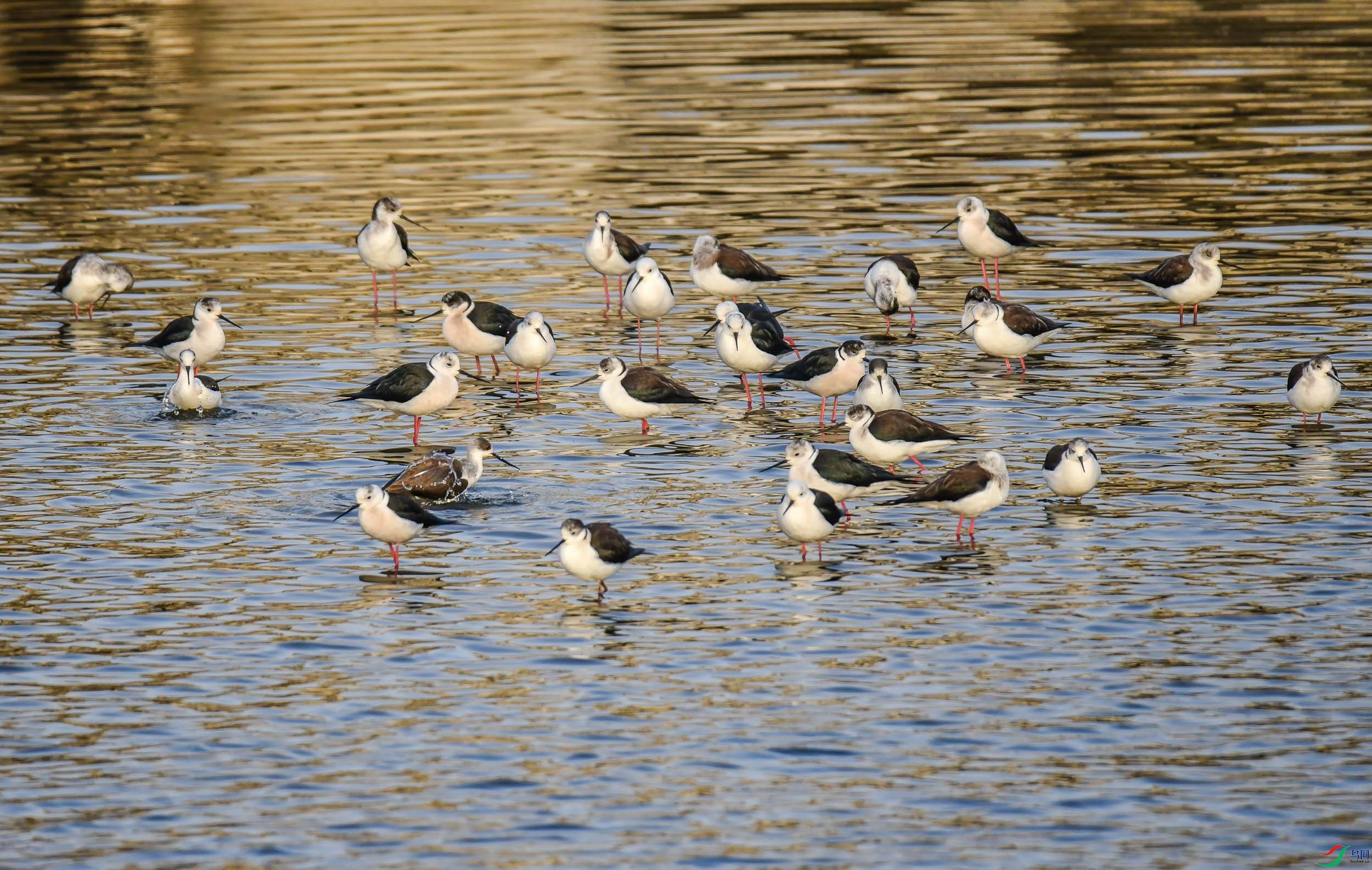 DSC_5879.jpg