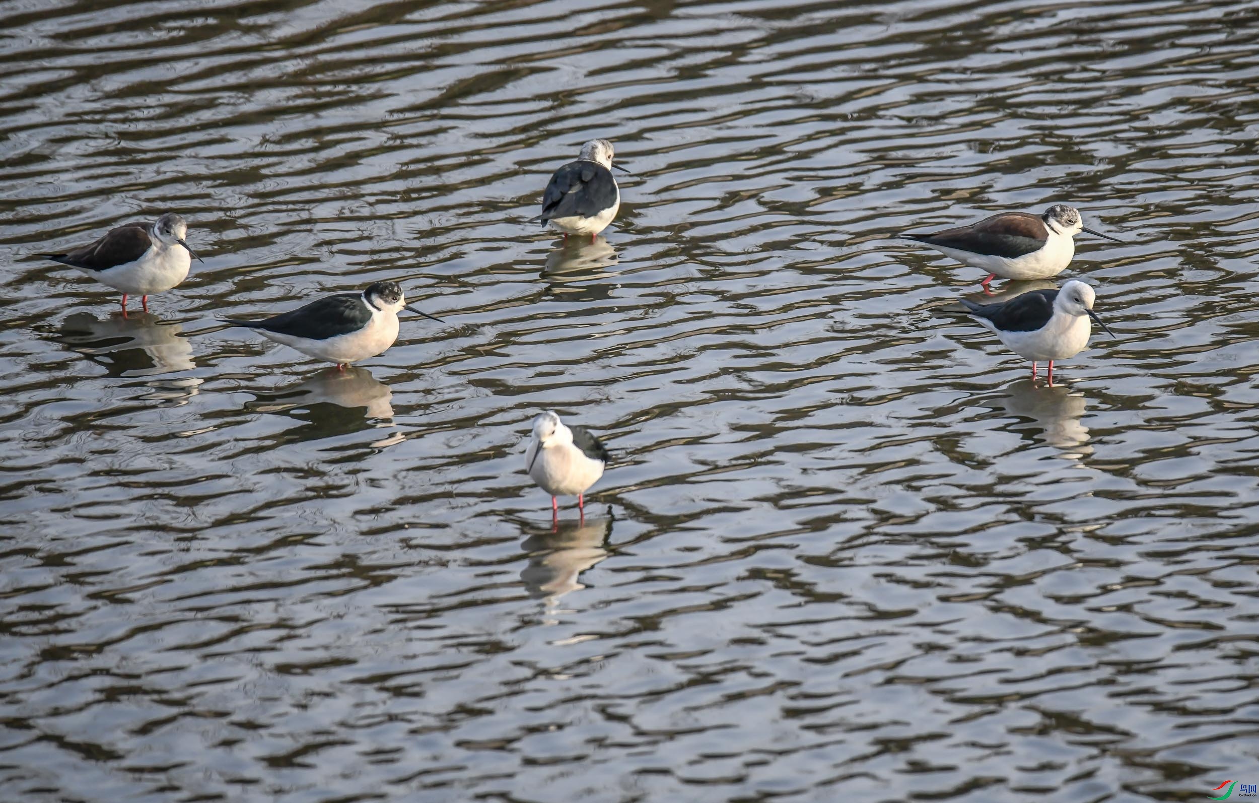 DSC_5893.jpg