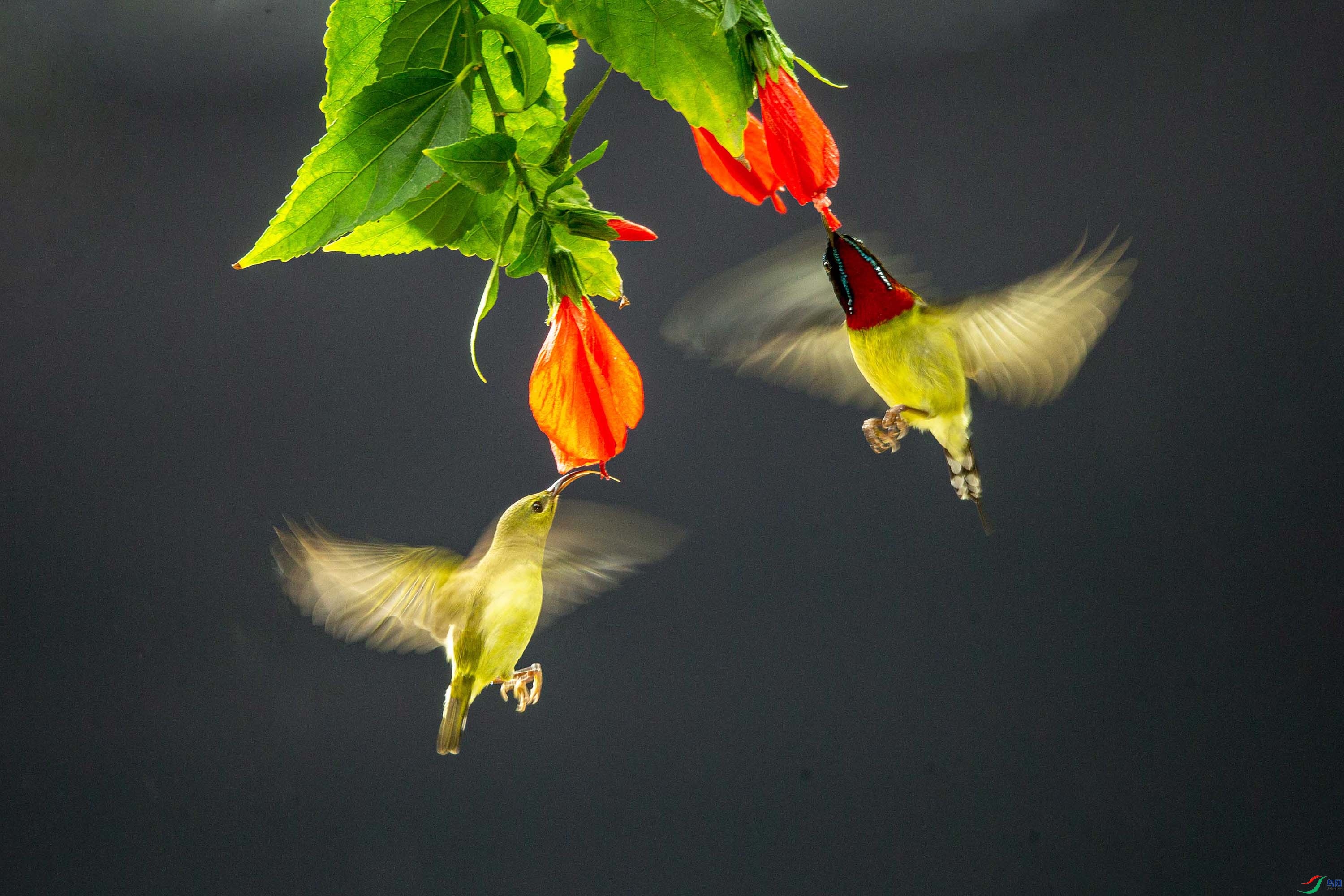 AK2Y1620 ����.jpg