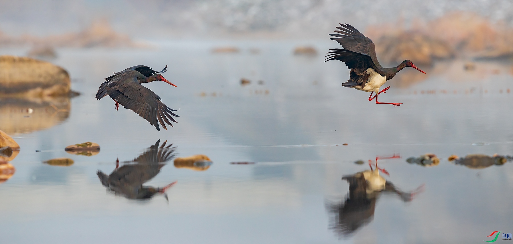 1DX_5542-Pano-1.jpg